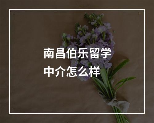 南昌伯乐留学中介怎么样