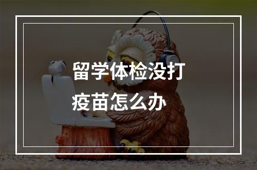 留学体检没打疫苗怎么办