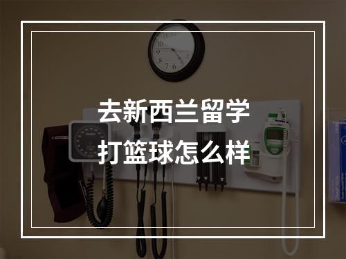 去新西兰留学打篮球怎么样