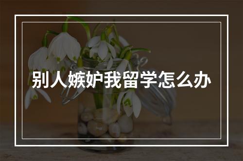 别人嫉妒我留学怎么办