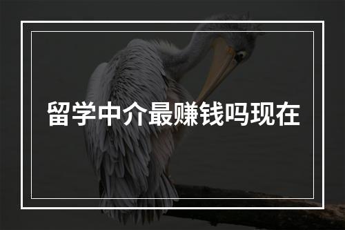 留学中介最赚钱吗现在