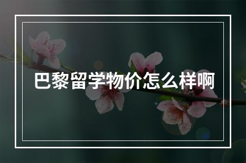 巴黎留学物价怎么样啊