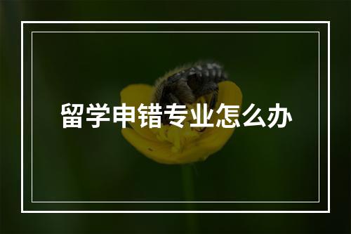 留学申错专业怎么办