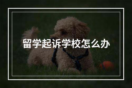 留学起诉学校怎么办