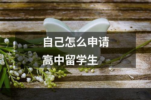 自己怎么申请高中留学生