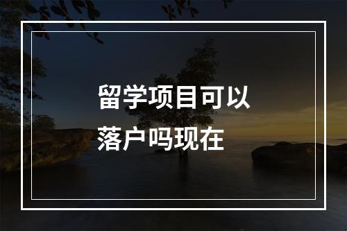 留学项目可以落户吗现在