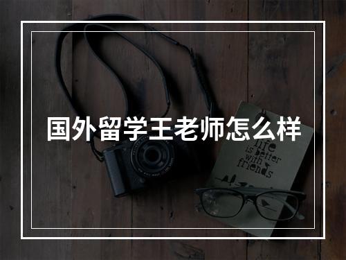 国外留学王老师怎么样