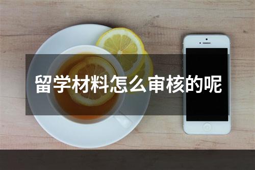 留学材料怎么审核的呢