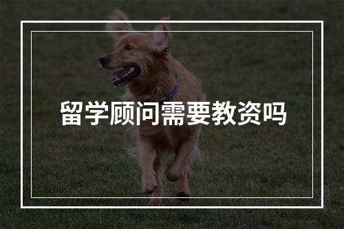 留学顾问需要教资吗