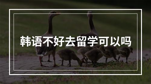 韩语不好去留学可以吗