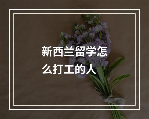 新西兰留学怎么打工的人