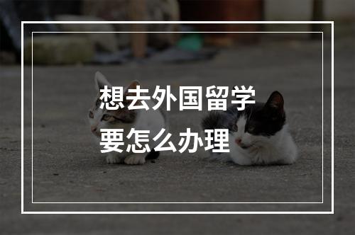 想去外国留学要怎么办理