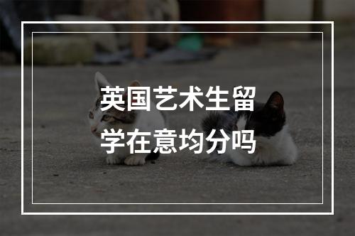 英国艺术生留学在意均分吗