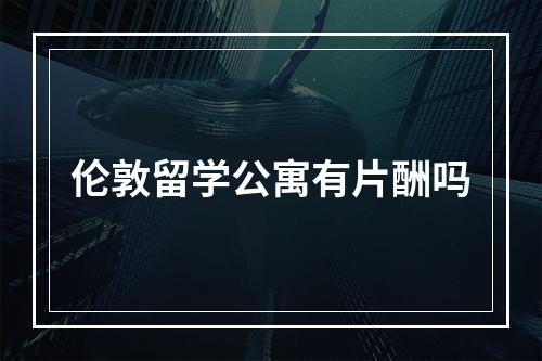 伦敦留学公寓有片酬吗