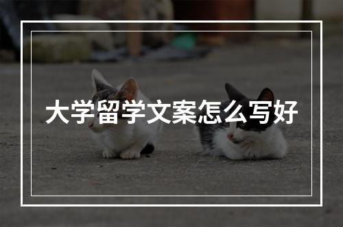 大学留学文案怎么写好