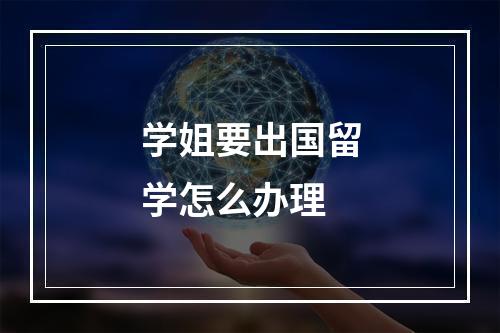 学姐要出国留学怎么办理