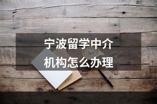 宁波留学中介机构怎么办理