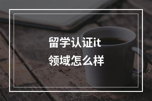 留学认证it领域怎么样