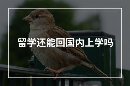 留学还能回国内上学吗