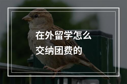 在外留学怎么交纳团费的