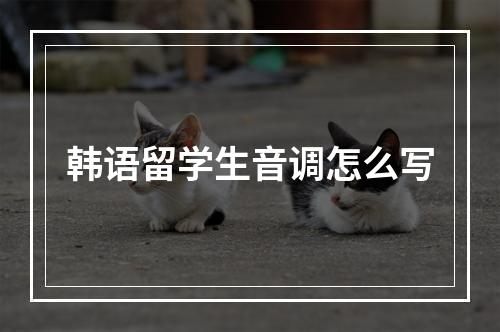 韩语留学生音调怎么写