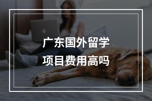 广东国外留学项目费用高吗