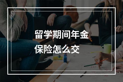 留学期间年金保险怎么交