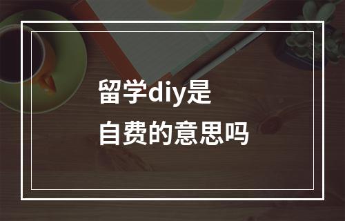 留学diy是自费的意思吗