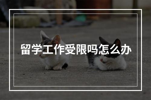 留学工作受限吗怎么办