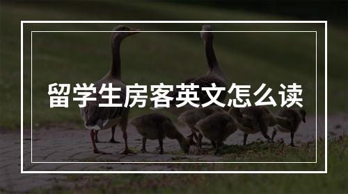 留学生房客英文怎么读