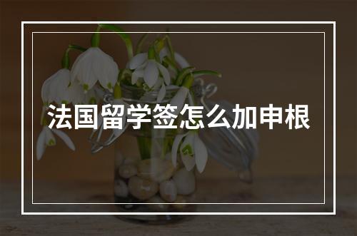 法国留学签怎么加申根