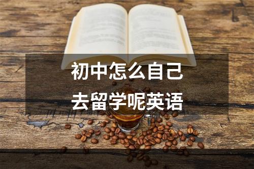 初中怎么自己去留学呢英语