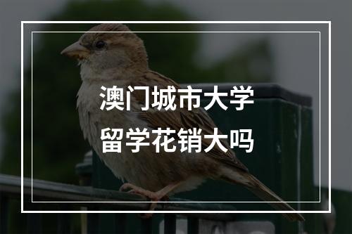 澳门城市大学留学花销大吗