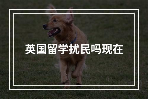 英国留学扰民吗现在