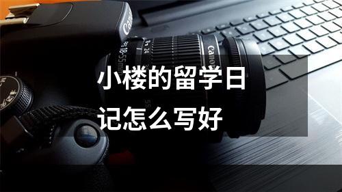 小楼的留学日记怎么写好