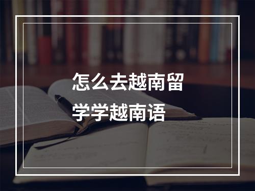 怎么去越南留学学越南语