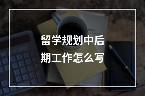 留学规划中后期工作怎么写