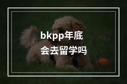 bkpp年底会去留学吗