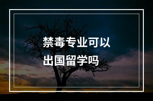 禁毒专业可以出国留学吗