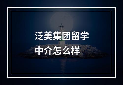 泛美集团留学中介怎么样