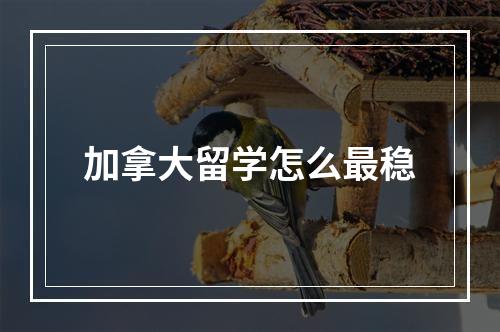 加拿大留学怎么最稳