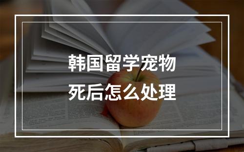 韩国留学宠物死后怎么处理