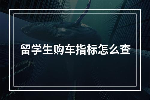 留学生购车指标怎么查