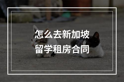 怎么去新加坡留学租房合同