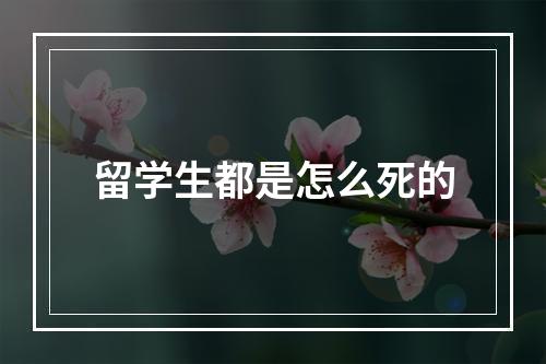 留学生都是怎么死的