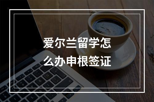 爱尔兰留学怎么办申根签证