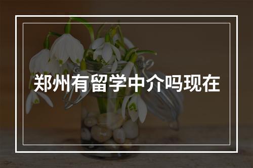 郑州有留学中介吗现在