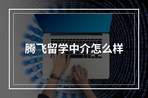 腾飞留学中介怎么样