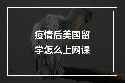 疫情后美国留学怎么上网课