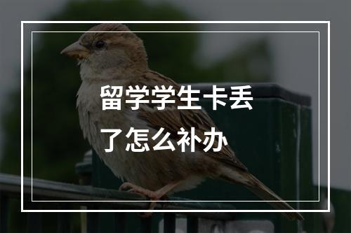 留学学生卡丢了怎么补办